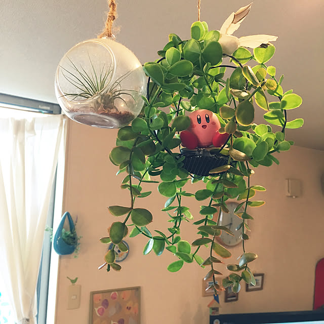 kou-kitiさんの実例写真