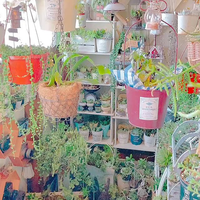 Hanakaさんの実例写真