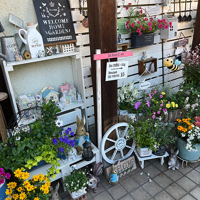 seiko44さんの部屋