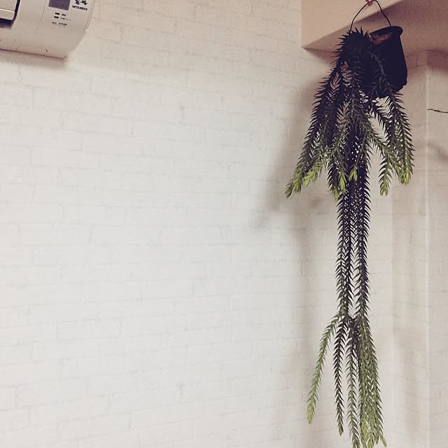 aknb08さんの実例写真