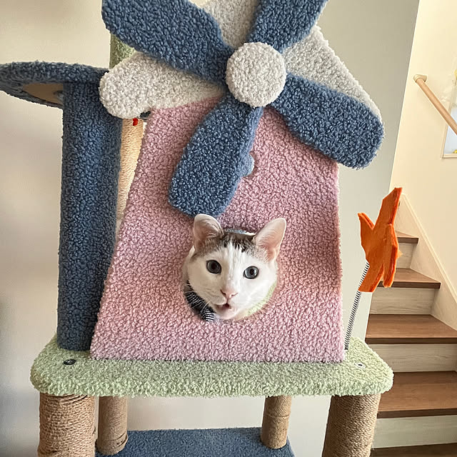 Misakiさんの部屋