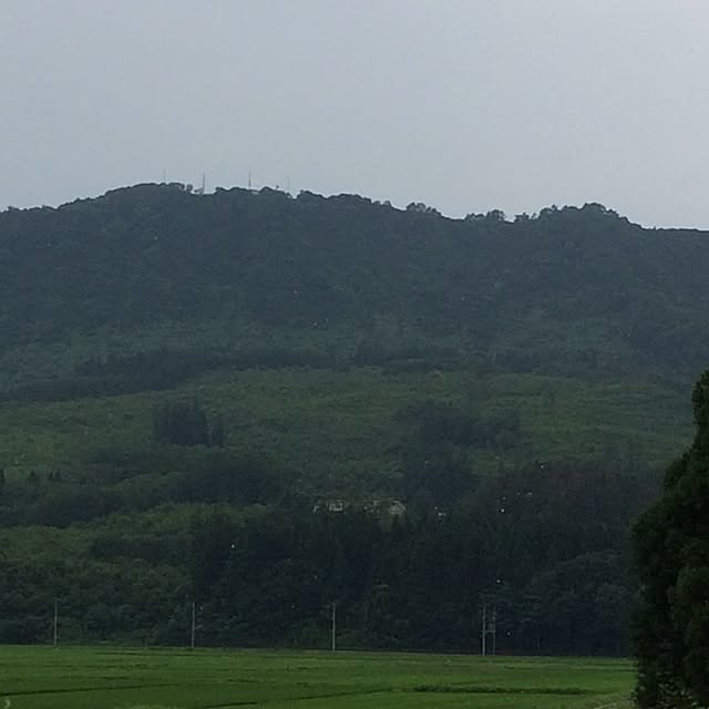 Chamさんの実例写真