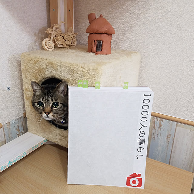 t-famさんの実例写真