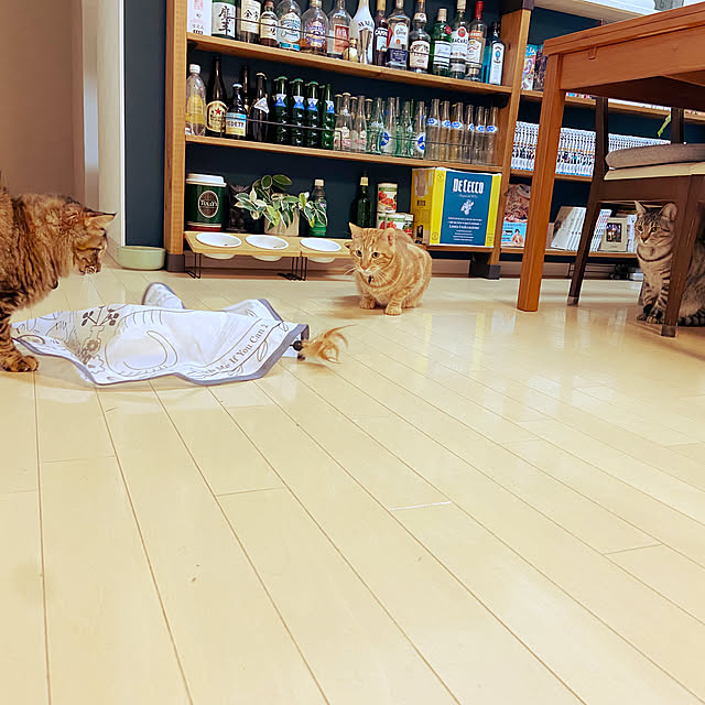 gachaさんの部屋