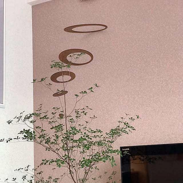 Saraさんの実例写真