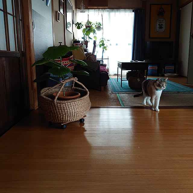 fukuさんの実例写真