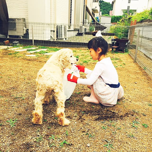 marley0209さんの実例写真