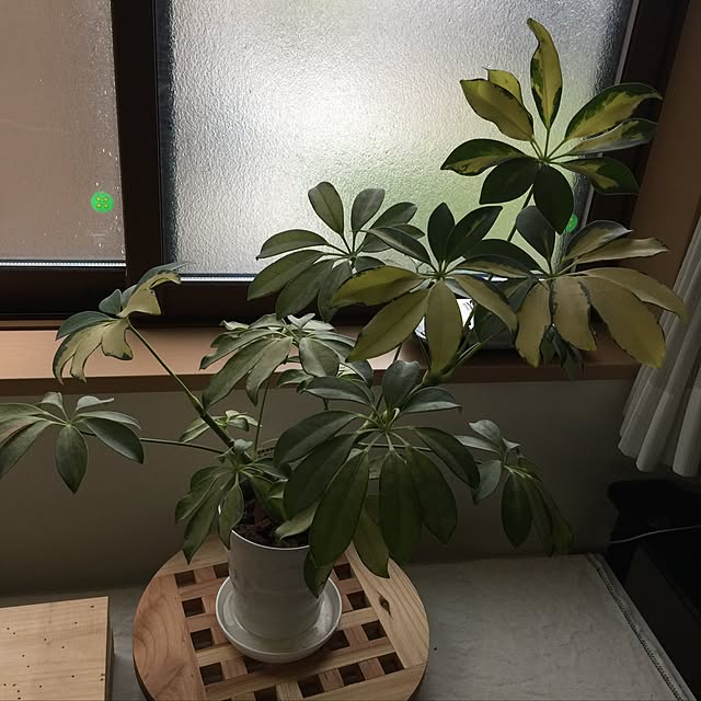 sanさんの実例写真