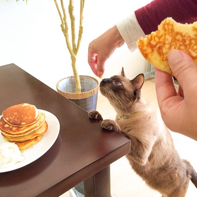 dodoさんの実例写真