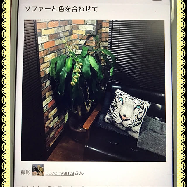 coconyantaさんの実例写真