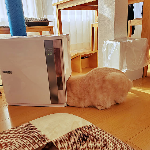 makoさんの実例写真