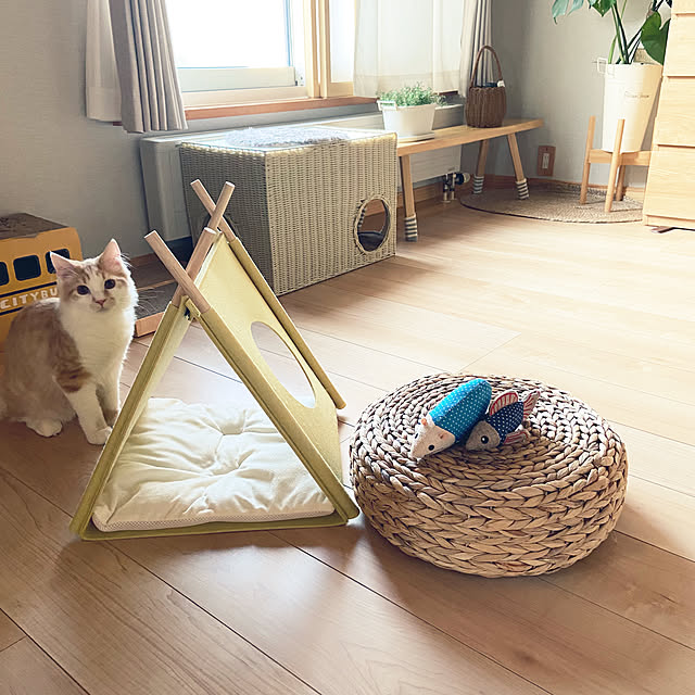 miwaさんの部屋