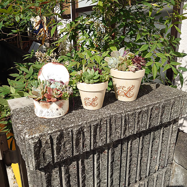 fukuさんの実例写真