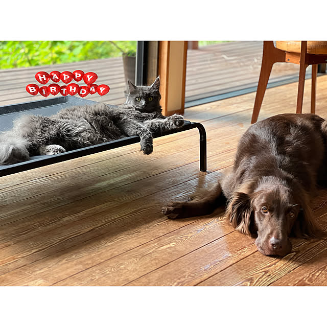 Kikko.さんの部屋