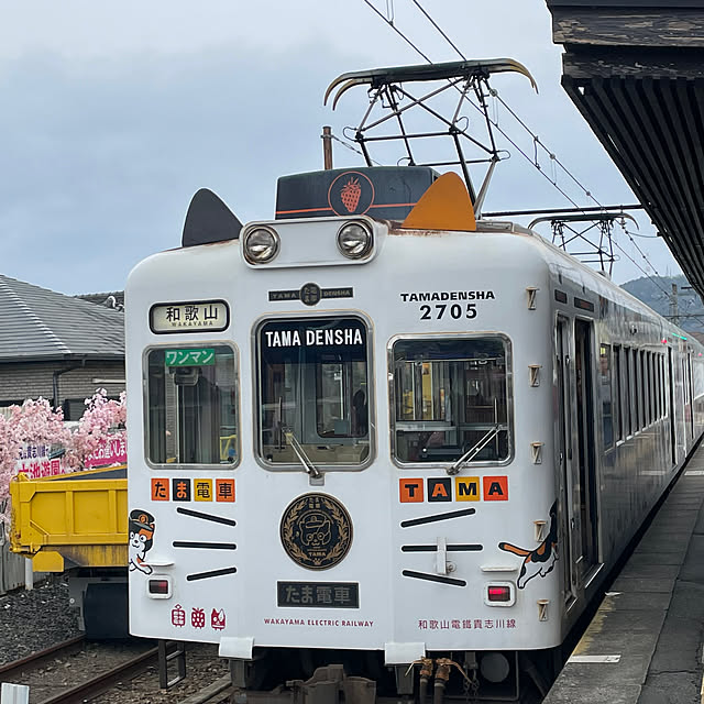 kawauso15さんの実例写真