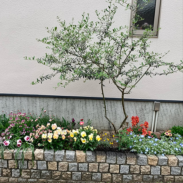 AINIさんの実例写真