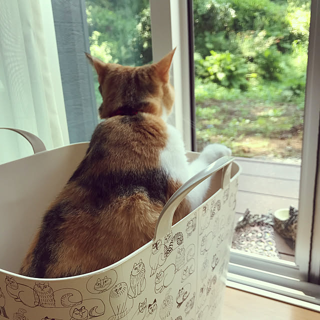 mamekinaさんの実例写真