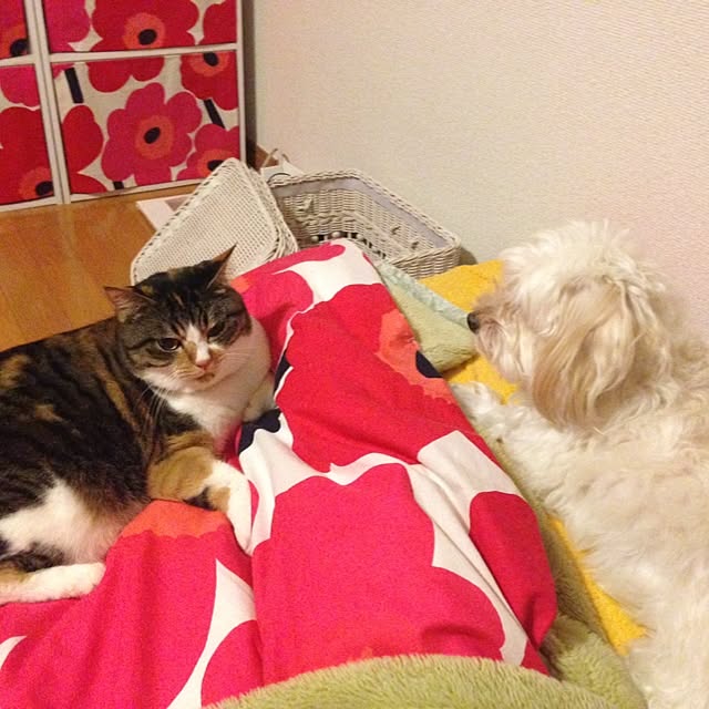 saqura_apartment101さんの実例写真