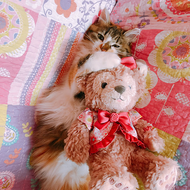 MASAさんの実例写真