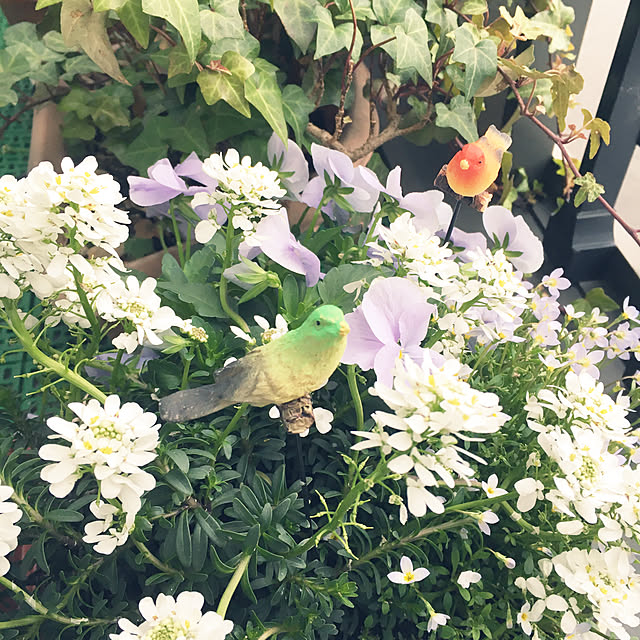 akkoman724さんの実例写真