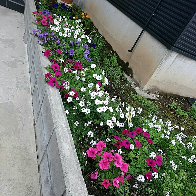 emiさんの実例写真
