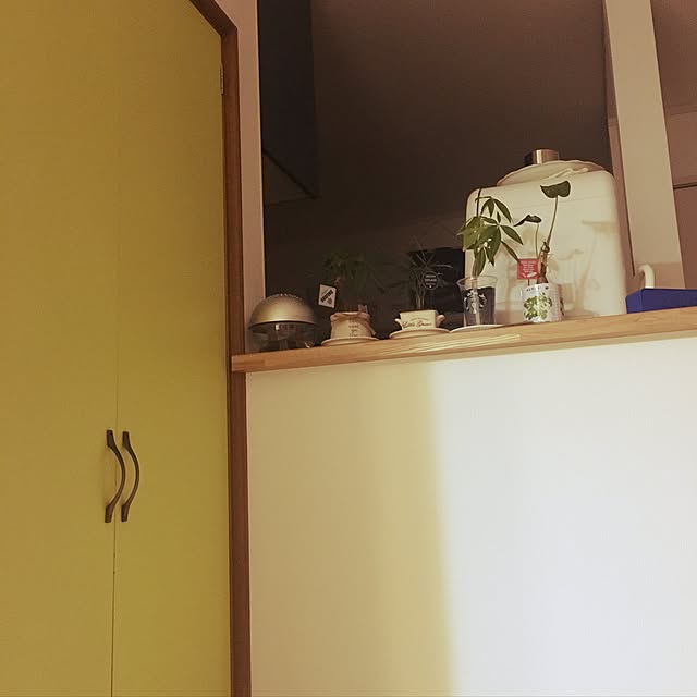 misataro2さんの実例写真