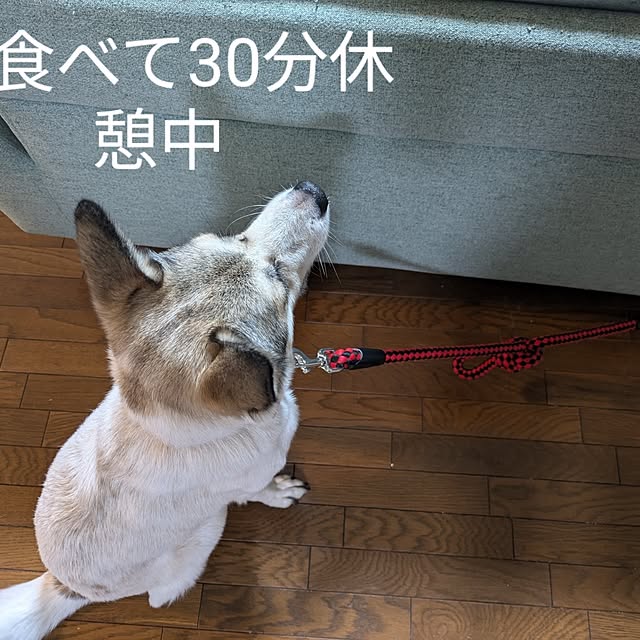 asaさんの実例写真