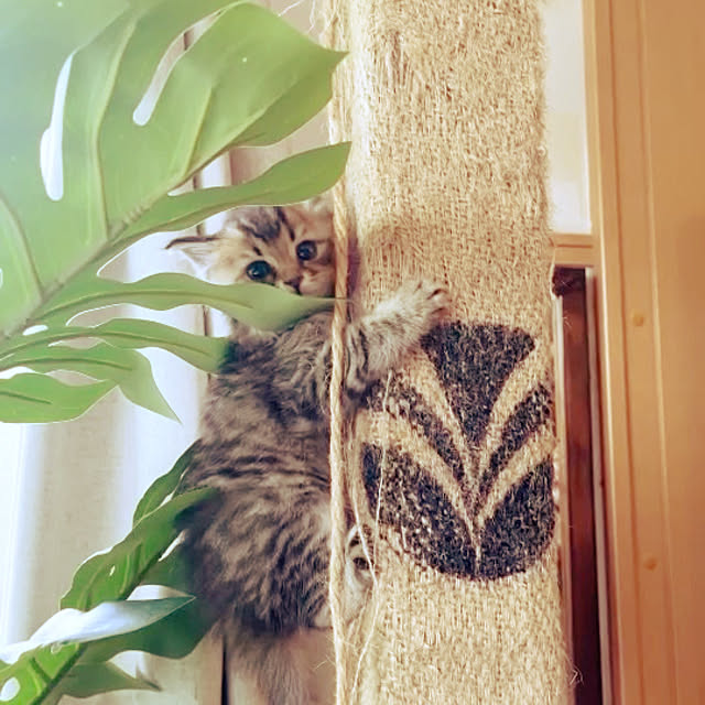 Mさんの実例写真