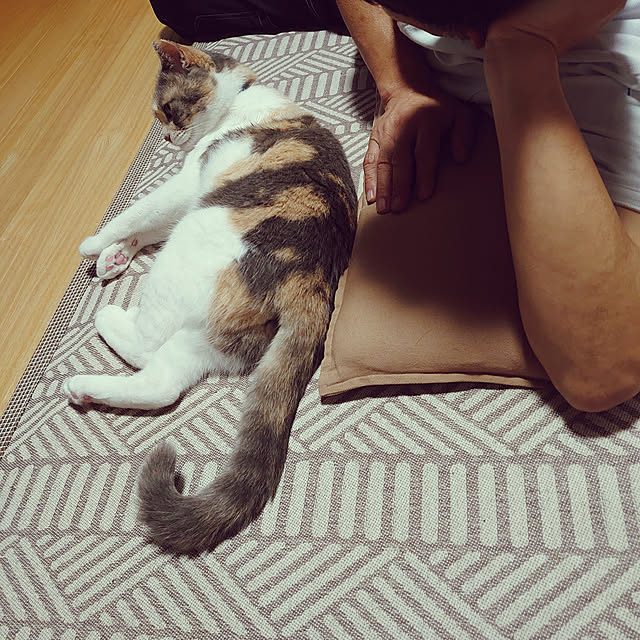 fukuさんの実例写真