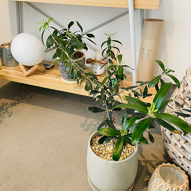 YUKOさんの部屋