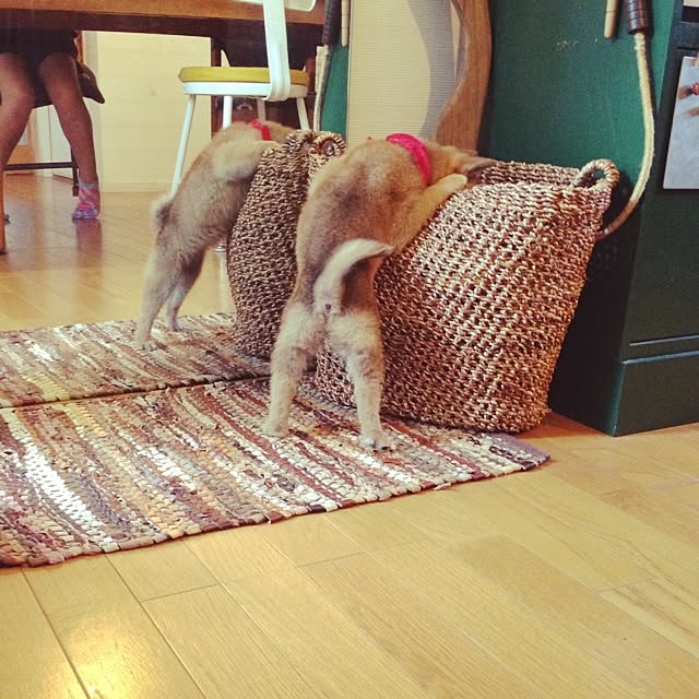 botanさんの実例写真