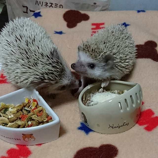 Reikomさんの実例写真
