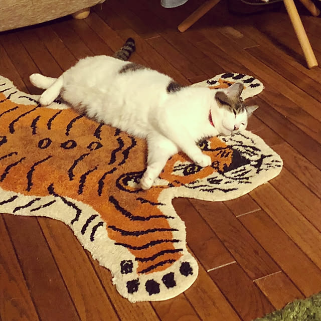 tropical_happy_lifeさんの実例写真