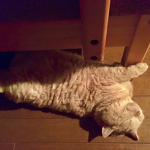 naokoさんの実例写真