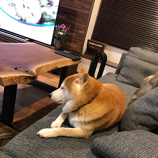 ahahaaohohooさんの実例写真