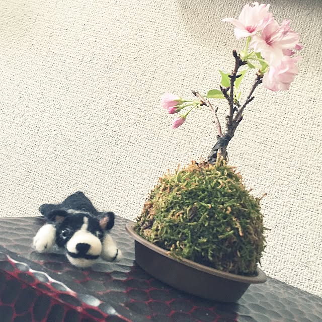pontaさんの実例写真