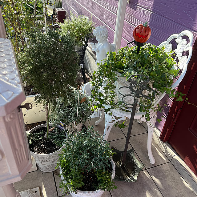 AYUKOさんの部屋