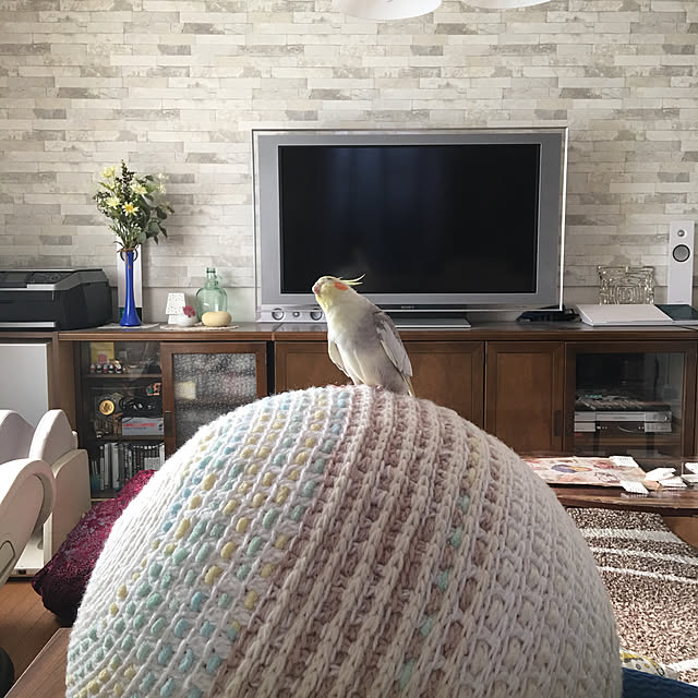 puriyuzuさんの実例写真