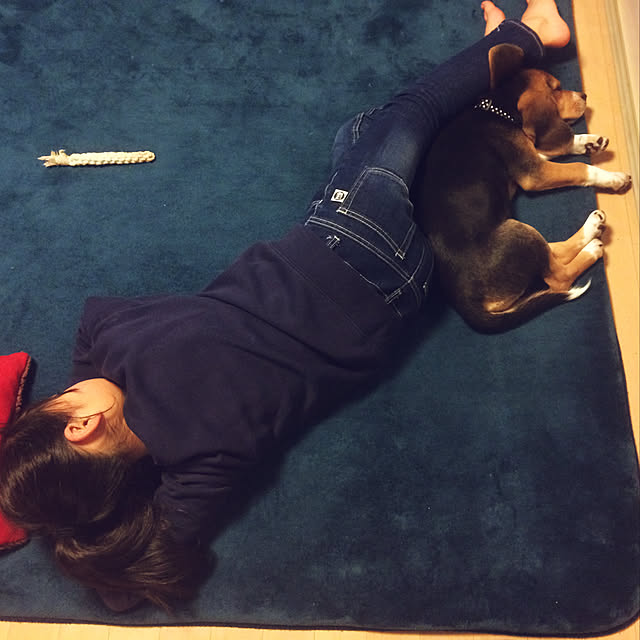 eriさんの実例写真