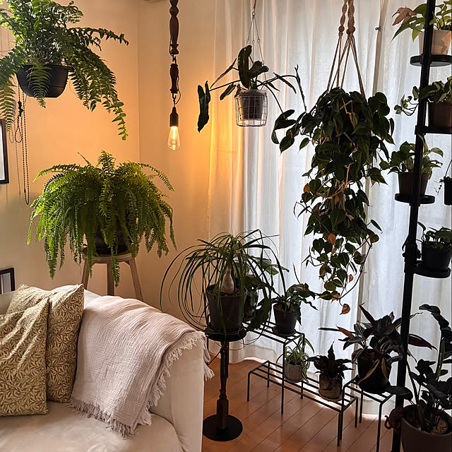 greycatsさんの部屋