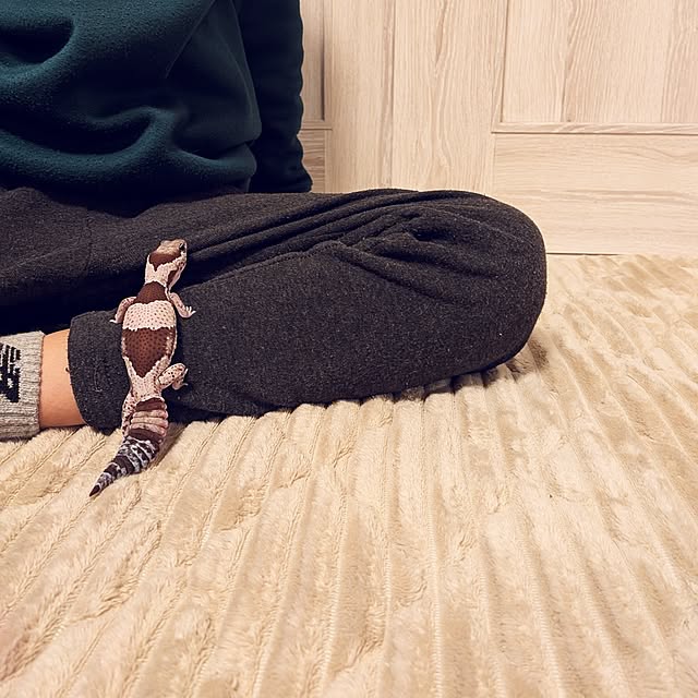 r0siereさんの部屋