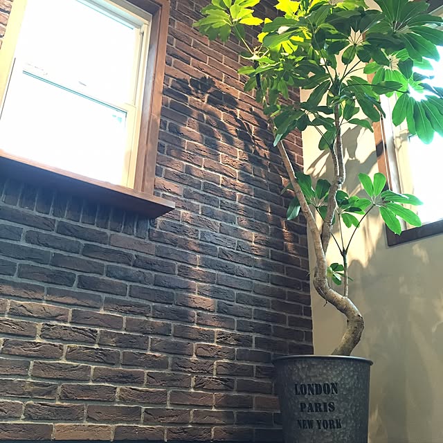 maruさんの実例写真