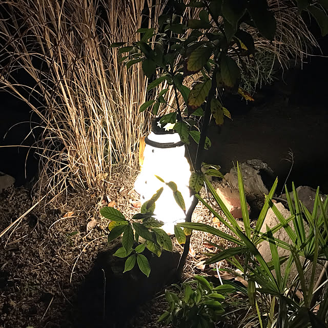 kikiransanさんの実例写真