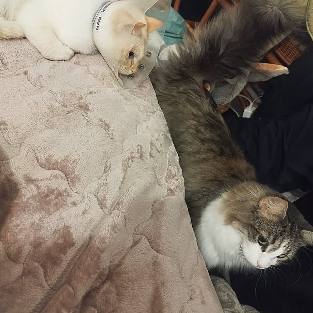 Yさんの部屋