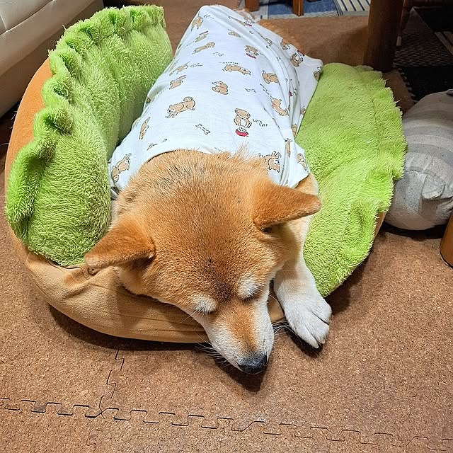 nanaさんの実例写真