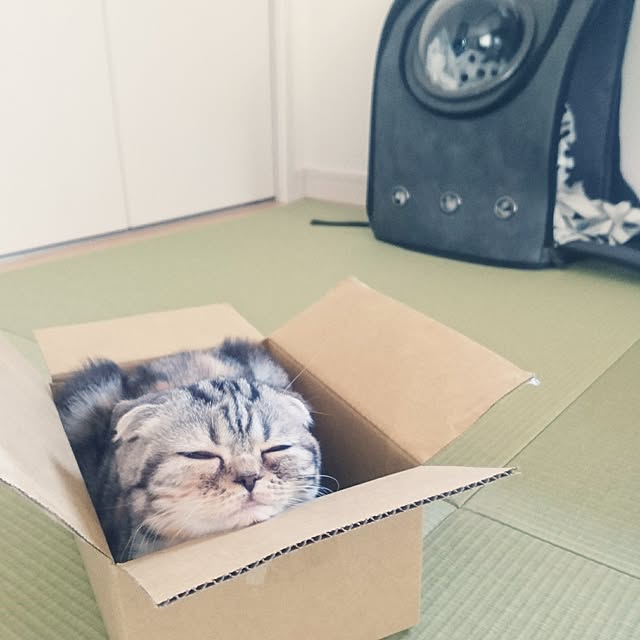 takiko0407さんの実例写真
