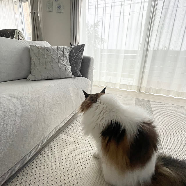 ukoさんの部屋
