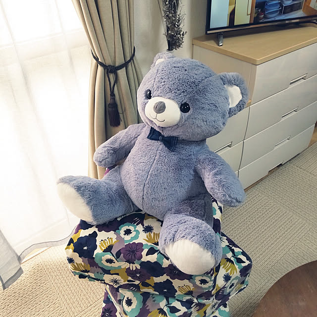 ujimAさんの実例写真