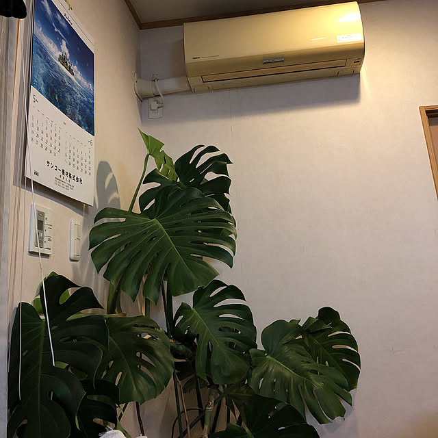 himaさんの実例写真