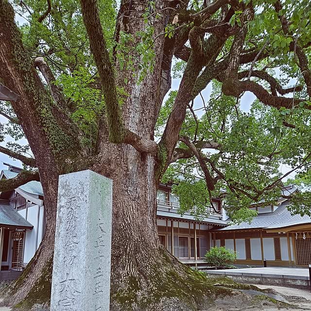 mocomocoさんの部屋